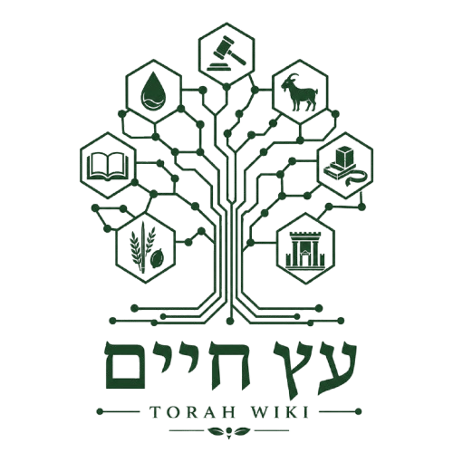 אילן התורה