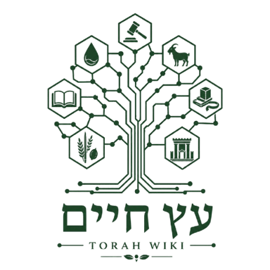 אילן התורה